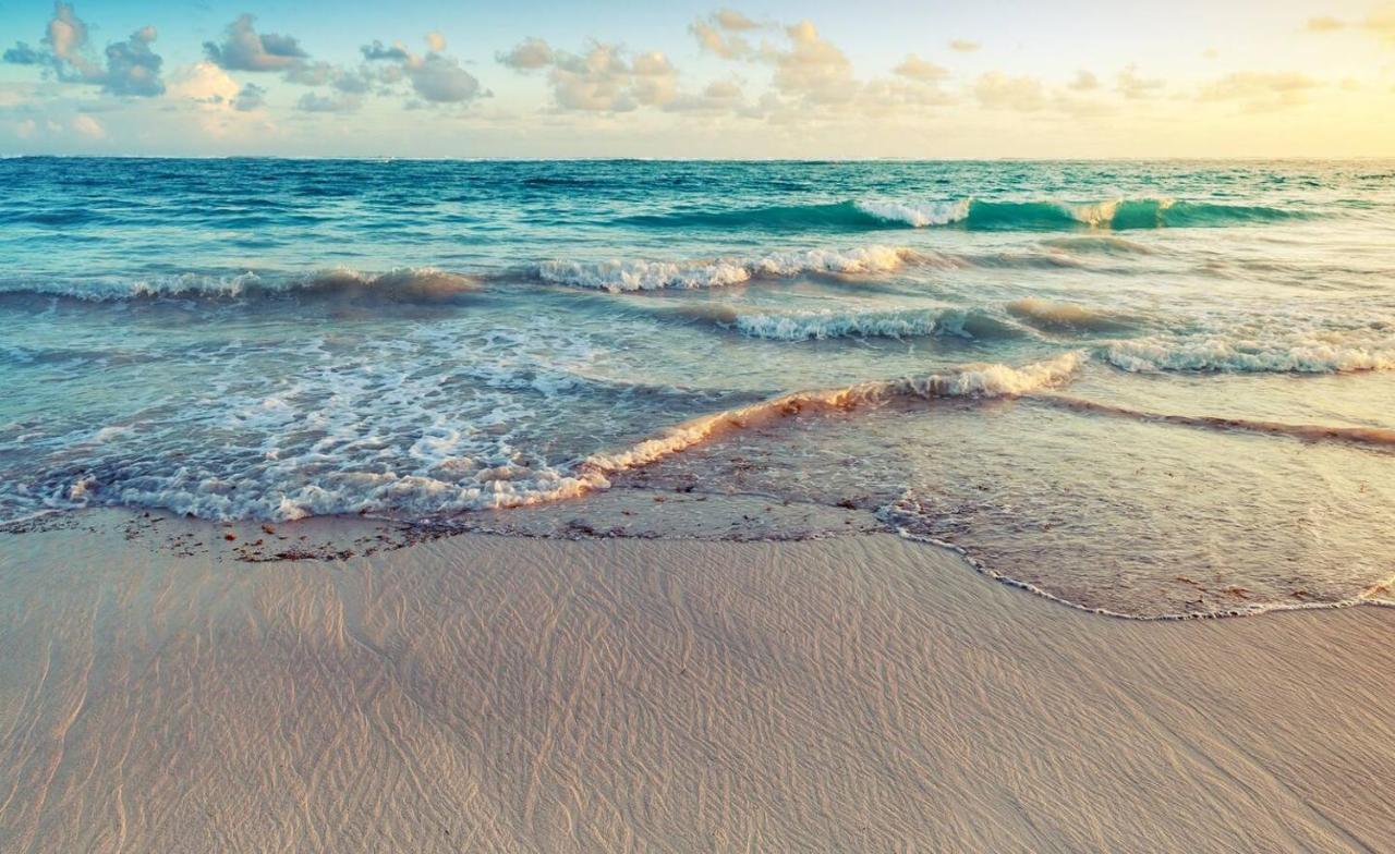 Playa Palmera Beach Resort Πούντα Κάνα Εξωτερικό φωτογραφία